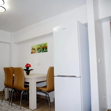 Apartment David Campulung Moldovenesc